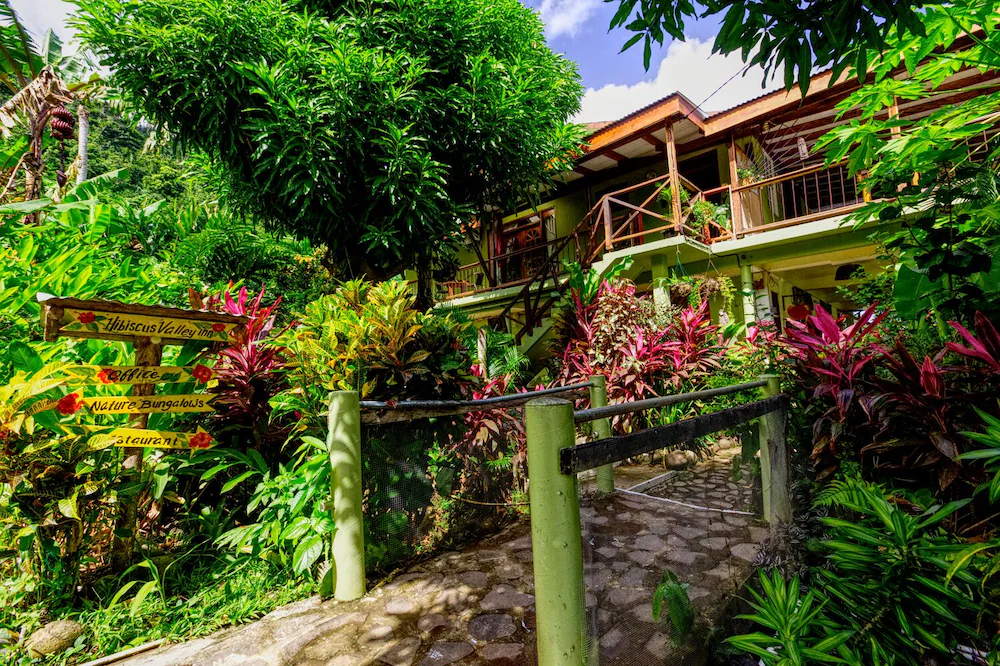 Hibiscus Valley Inn (1 pers.)