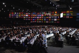 Congresses and Events