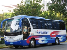 Transfer Colectivo